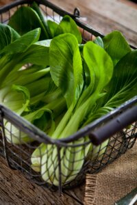 pak choi