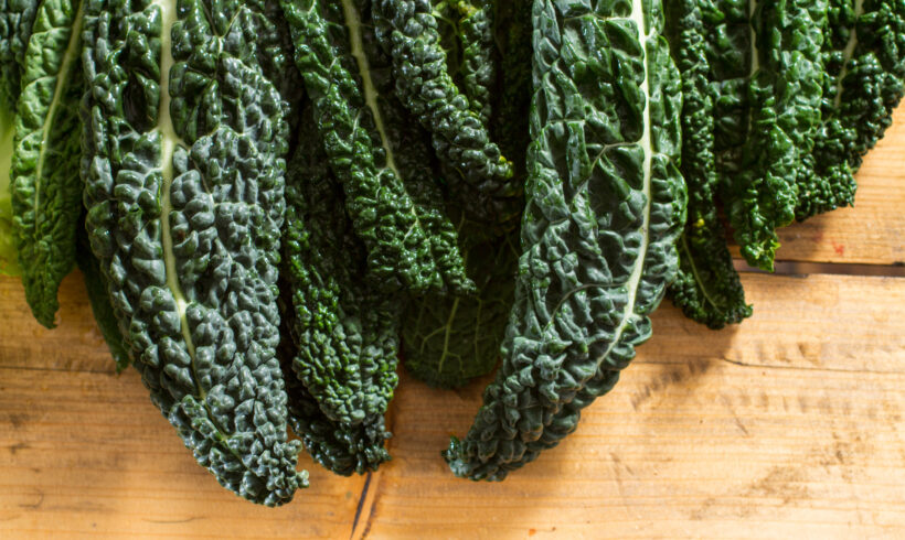 Cavolo nero guida completa dall’orto alla tavola
